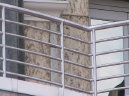 Stainless steel horizontal pipe railing